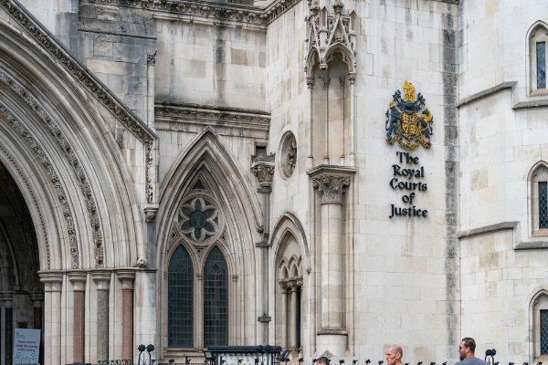 Independent Social Workers and judicial review