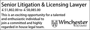 Winchester Senior Litigation & Licensing Lawyer