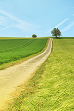 Public Rights Over Land Conference 2025