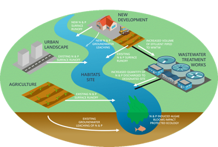 Nutrient fixes image