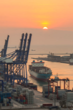 Port 41440953 s 146x219