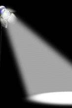 Spotlight iStock 000003933485XSmall 146x219