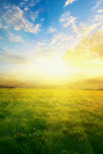 Sunset iStock 000009712604XSmall 146x219