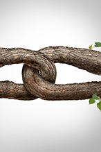 Supply chain sustainability 42846559 s 146x219